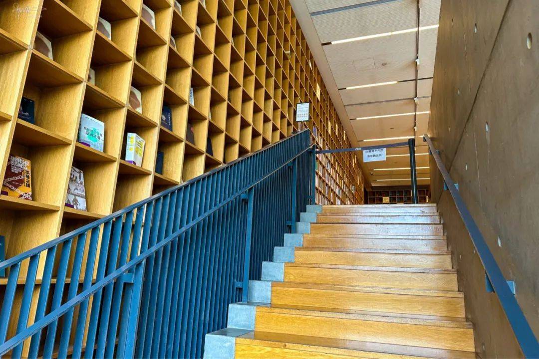 良渚有个藏书5万多册的免费图书馆很多年轻人过来却不是为看书