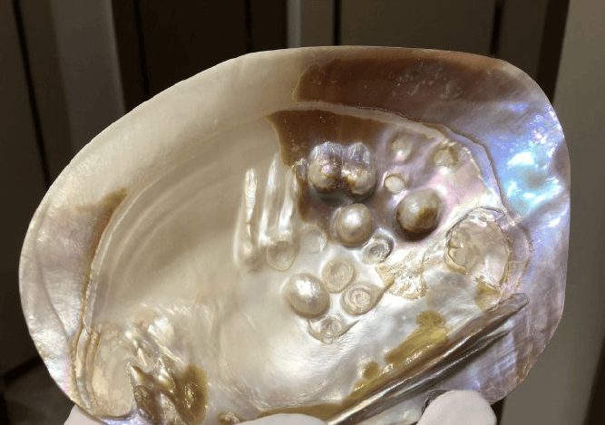 珠子_珍珠_女子