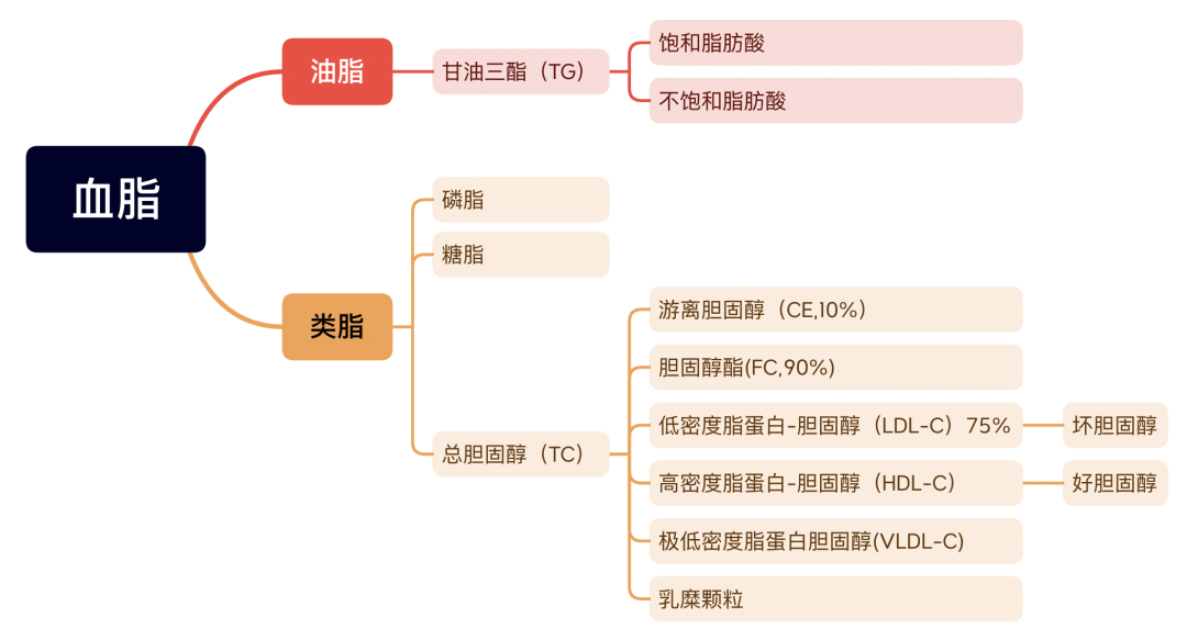 血脂指标这么多,总是分不清?