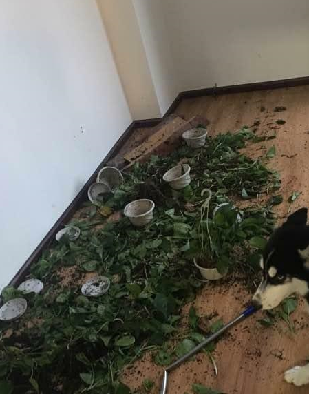 原创开心一刻笑话我和闺蜜去医院检查发现我已怀孕两个月