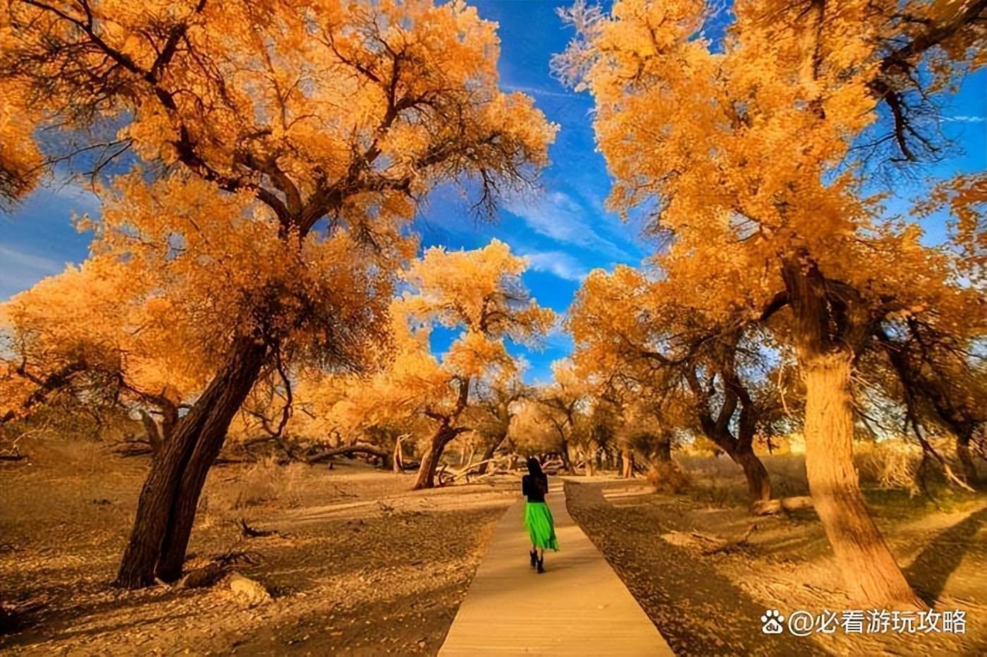 西北卓尼旅游3天大概多少钱,到西北卓尼玩三天要花多少钱