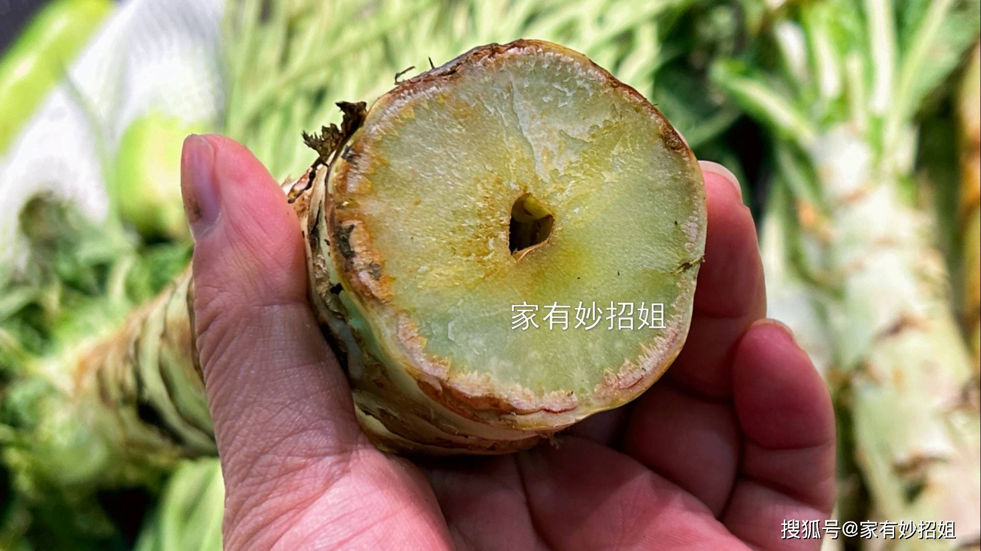 原创买莴笋挑根大还是根小老菜农挑错了难吃还浪费钱