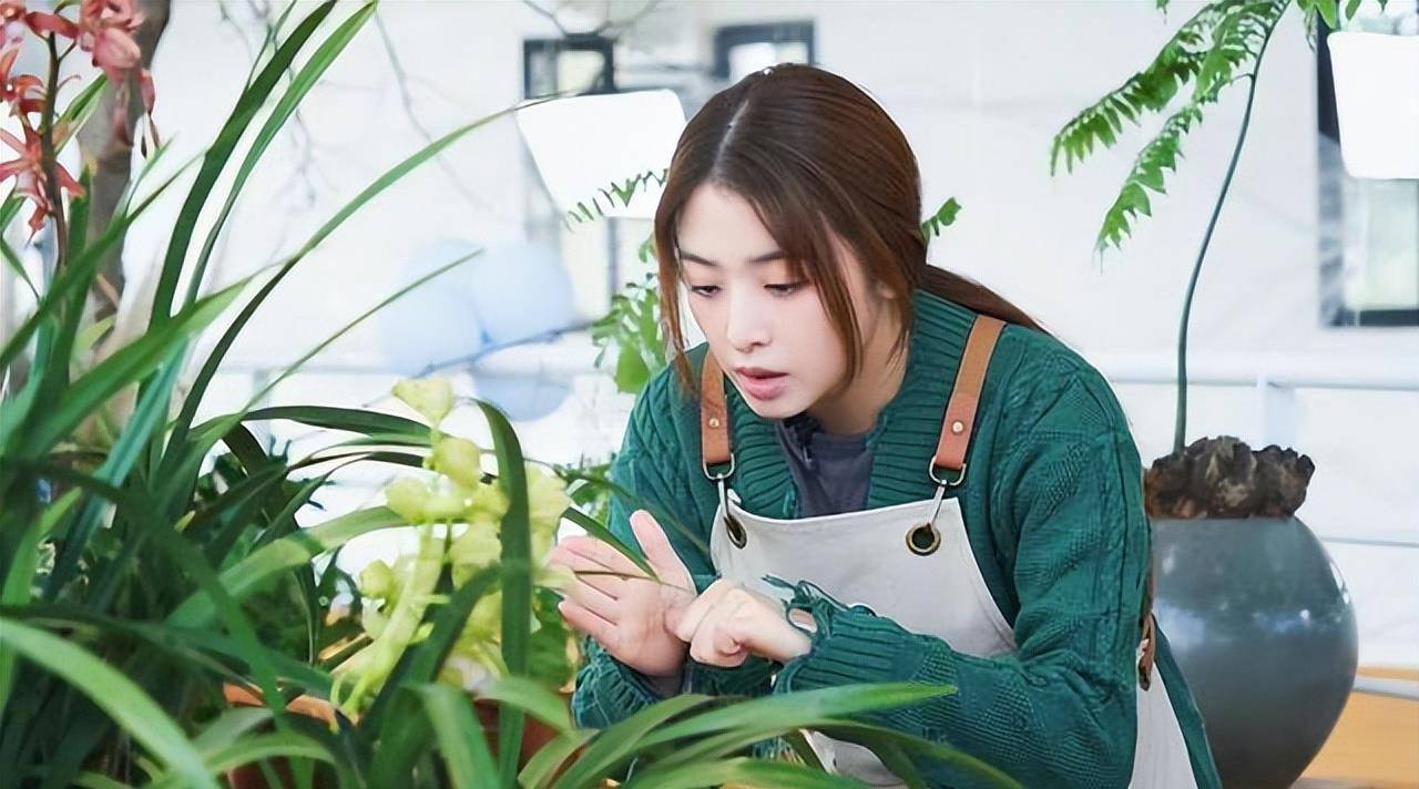 原创33岁张含韵的家居日常火了爱健身爱花草那叫一个精致晒晒