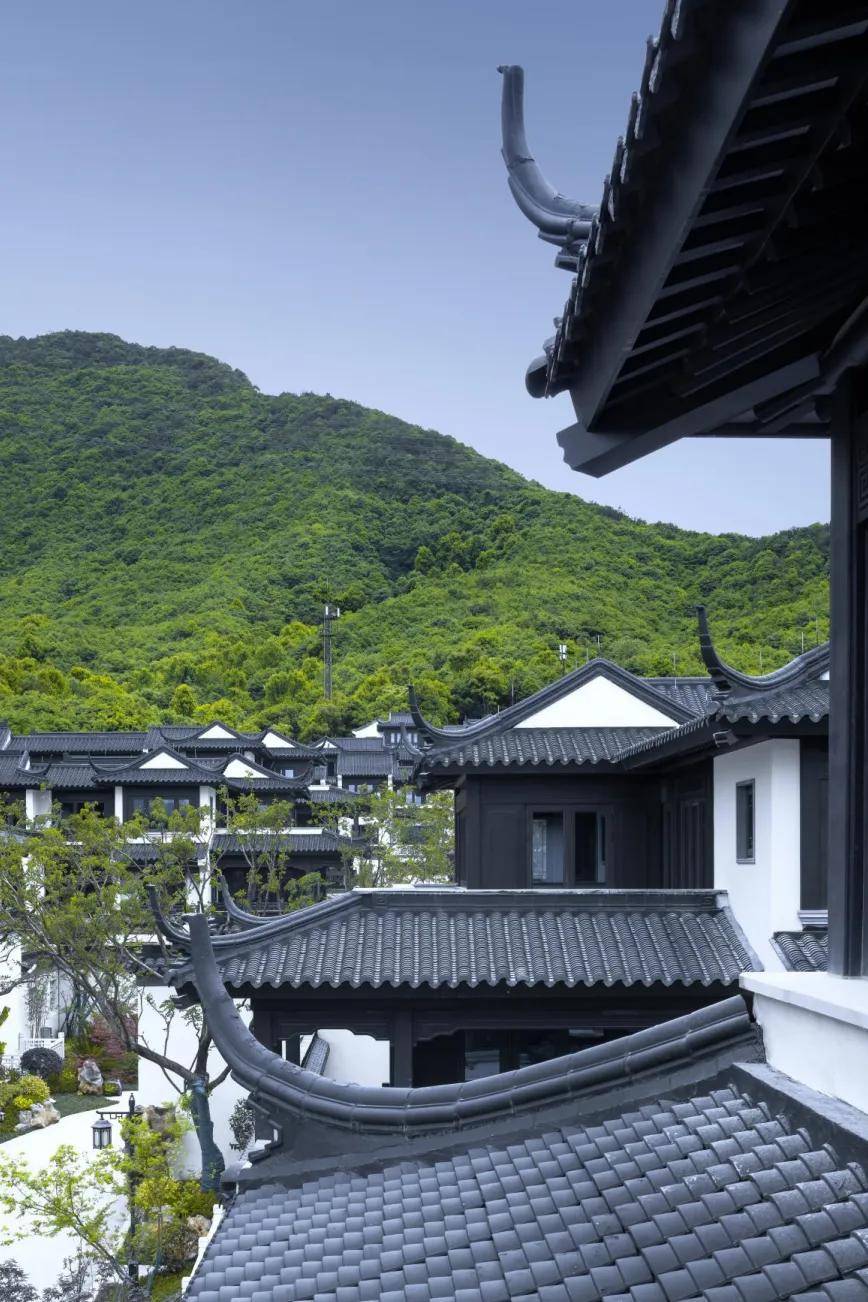 杭州蓝城桃李春风售楼处电话24小时电话蓝城桃李春风售楼处地址最新