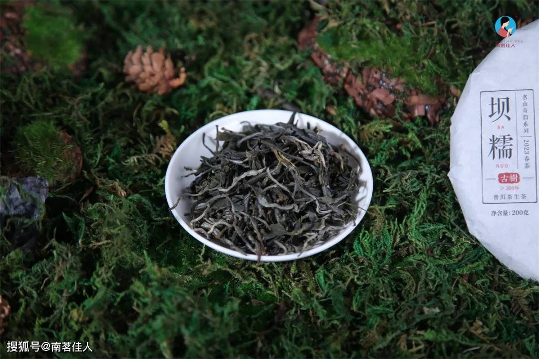 原创藤条茶之王究竟有何独特之处