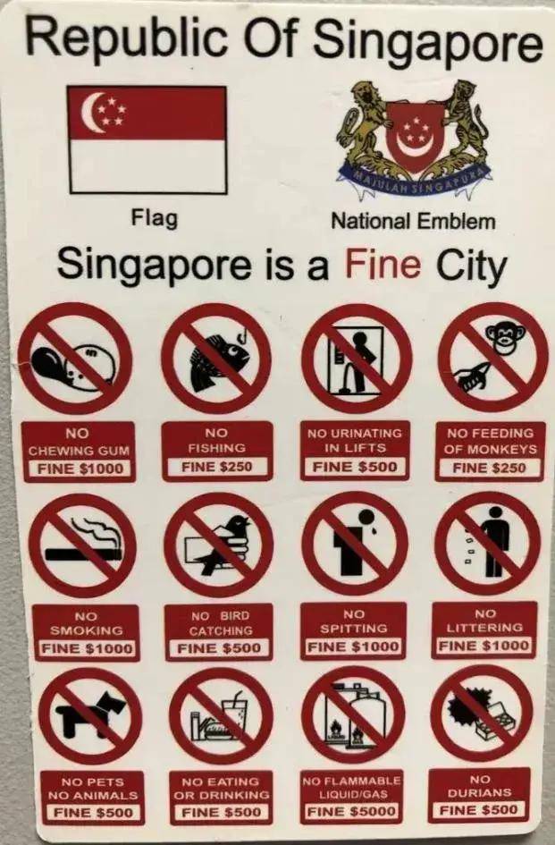 中新免签后丝滑入境新加坡soeasy