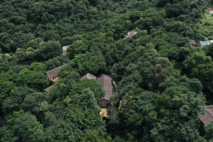 重庆红岩村景区景点介绍重庆红岩村景区攻略超详细攻略不踩雷