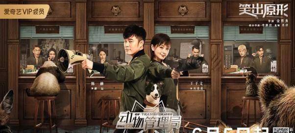 原创陈赫王子文联袂出演动物管理局这些动物也是不容易