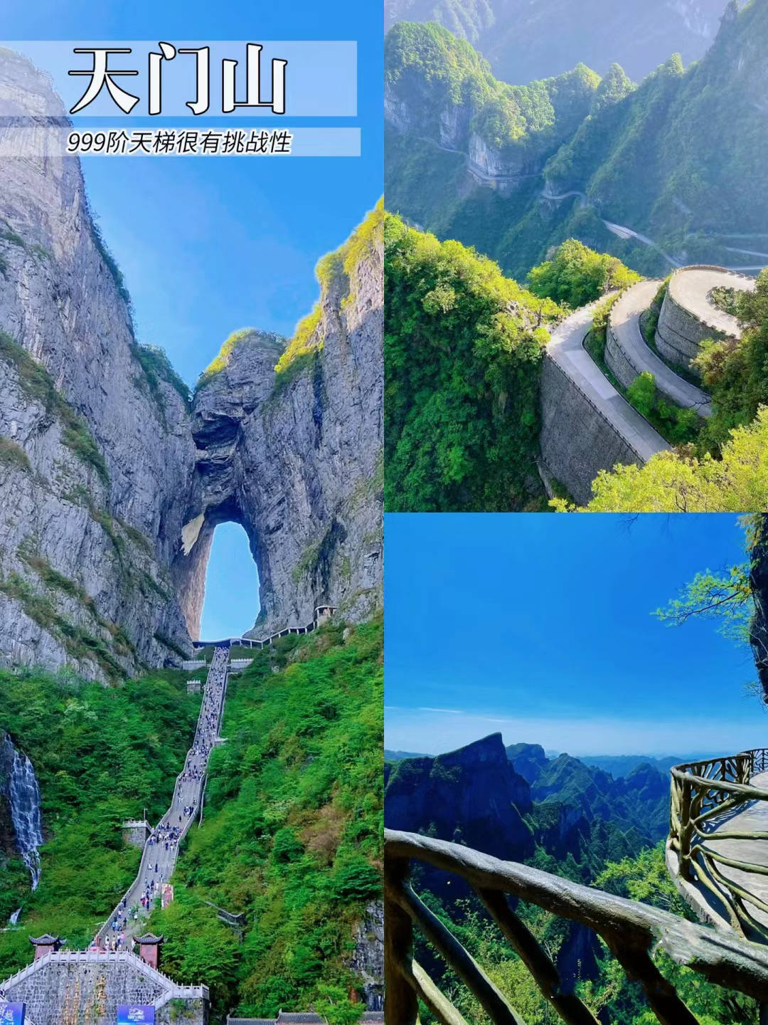 张家界旅游5天旅行社报价多少张家界5日游旅行社跟团报价超全避坑攻略