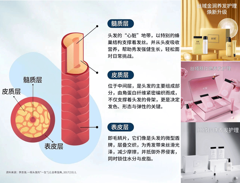 科技养发正热丝域牵手宋轶助力品牌成长