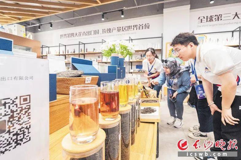 雨花区大力培育新质生产力奋力夺取一季度开门红