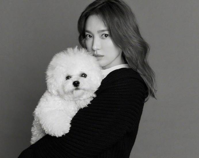 跟前面两位相比,女配江慧媛的饰演者韩恩贞在演艺圈发展并不是特别的