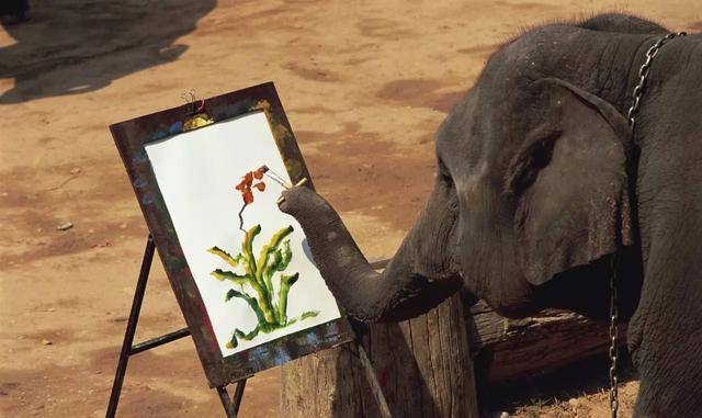 大象玛丽温顺而聪明却被美国人用起重机绞死它犯了什么罪