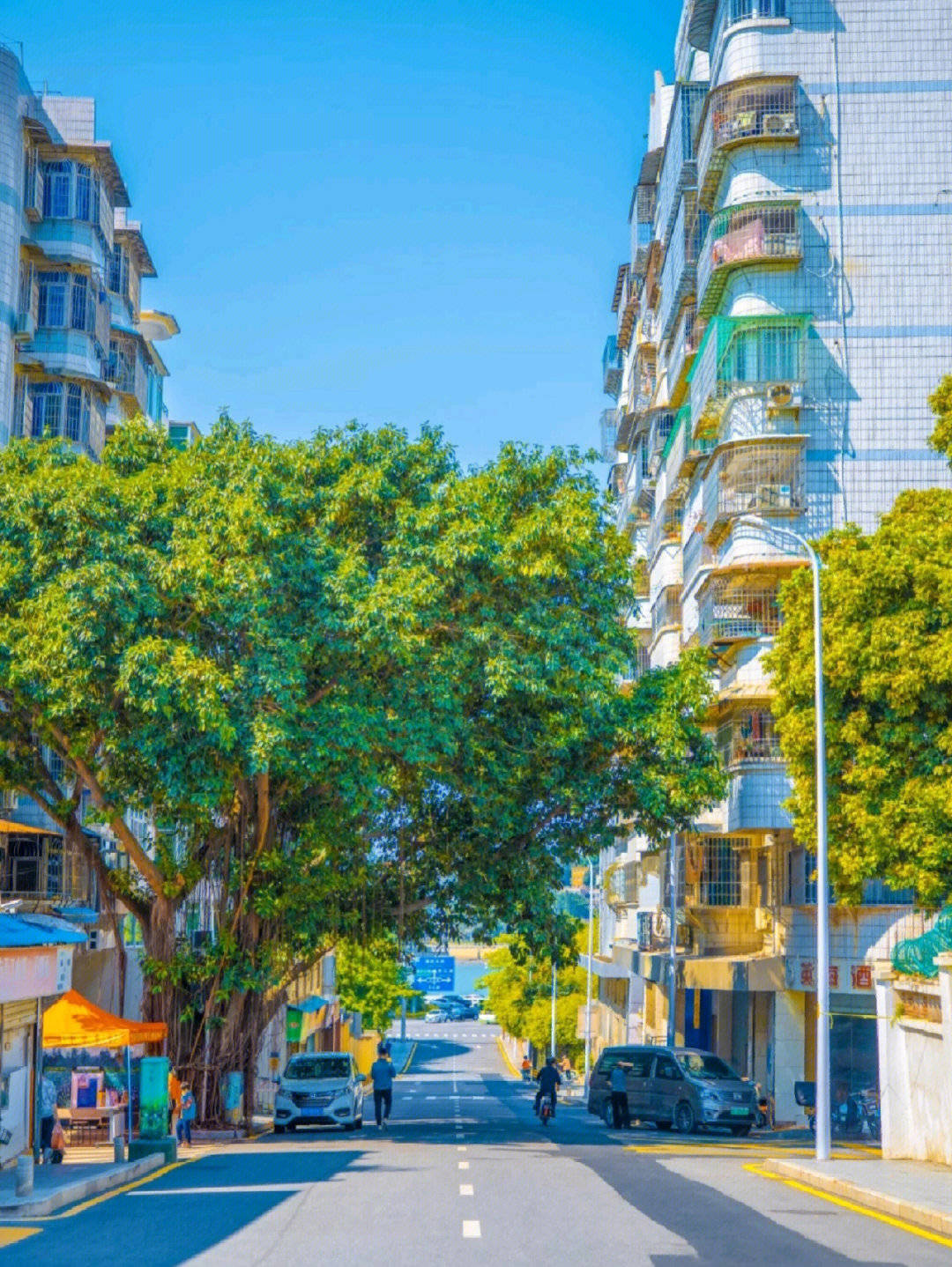 两个人去厦门六日游需要多少钱6天路线费用