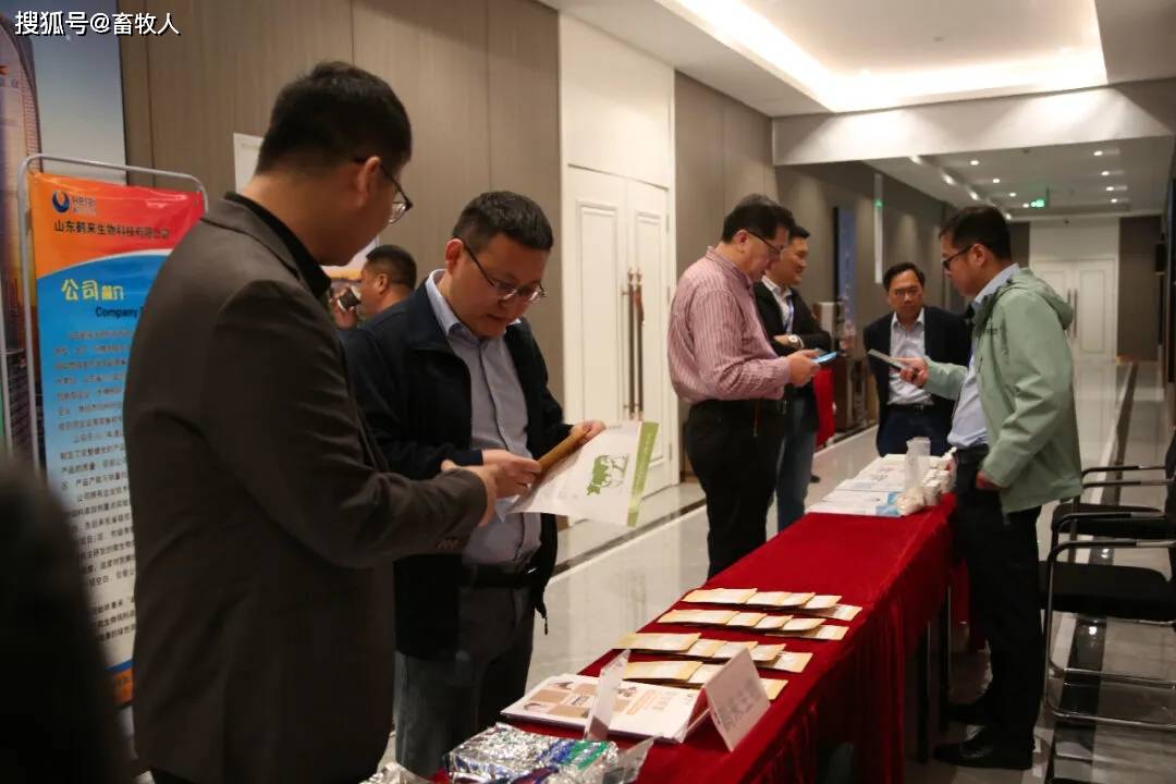 饲料业存量竞争趋烈研讨会助推企业逆境破局
