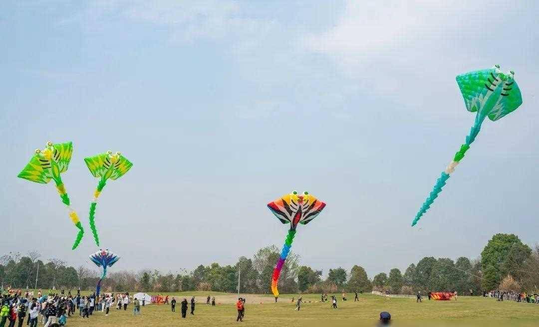 原创筝舞春风春色满溢2024四川崇州国际风筝邀请赛盛大