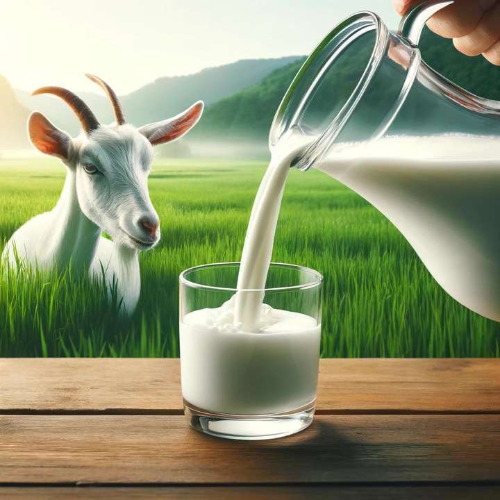 羊大师分享:喝羊奶之前,先了解这几点
