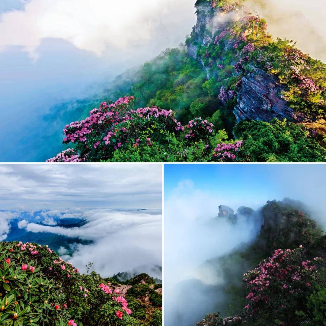 光雾山风景区的春天图片