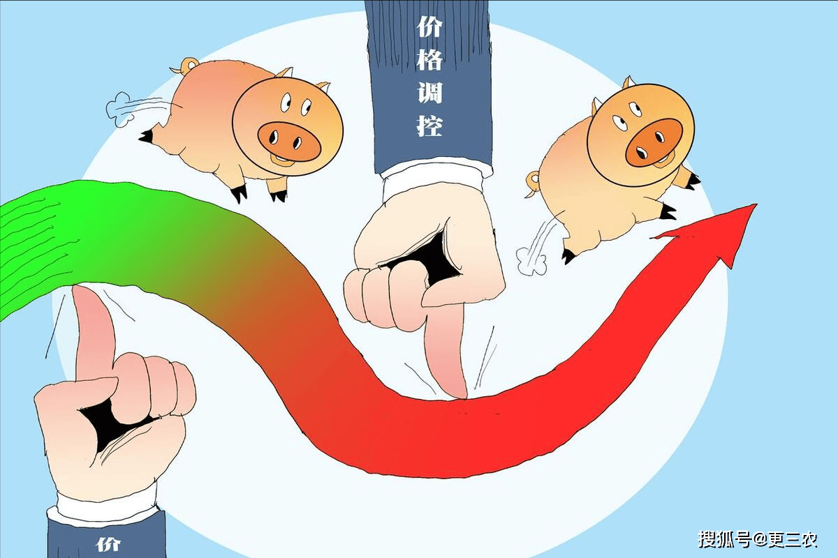 猪价陷入泥潭比猪价下跌更揪心的事还是出现了