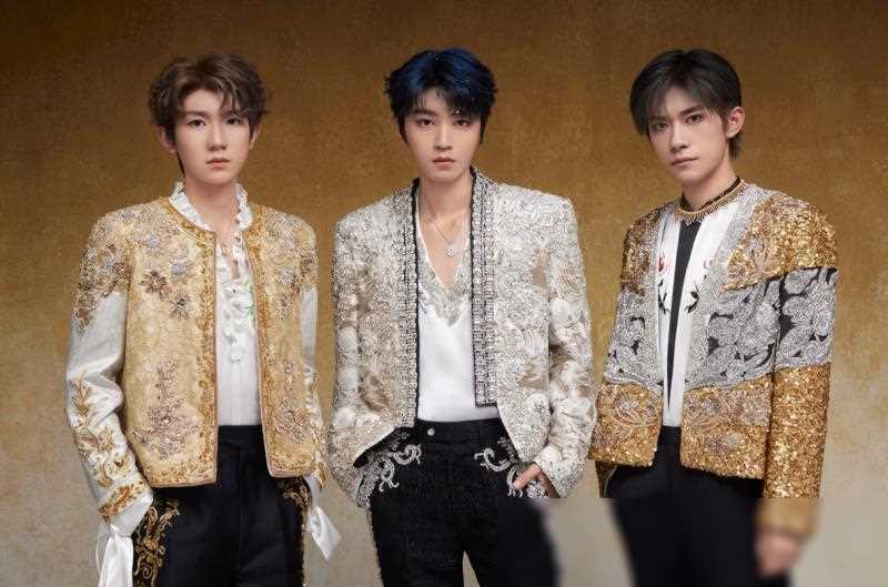 tf家族是时代峰峻推出的练习生养成项目,致力于培养新一代少年偶像.