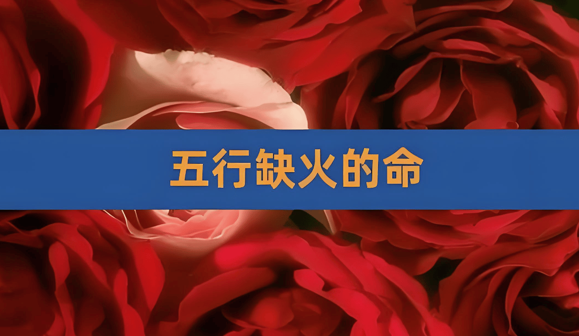 我五行缺你肉车图片