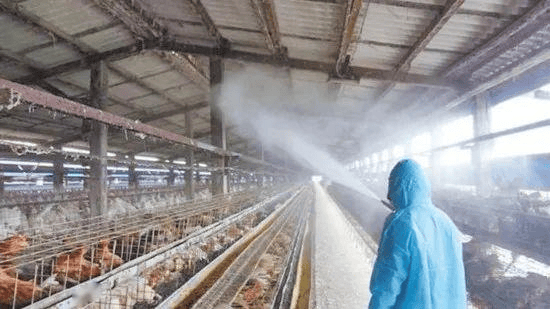 热水高压清洗机:畜牧养殖场的日常清洗利器,保障动物健康