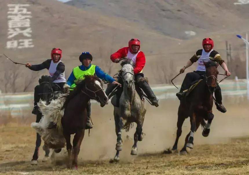 无边草原无边景扬鞭策马游新疆