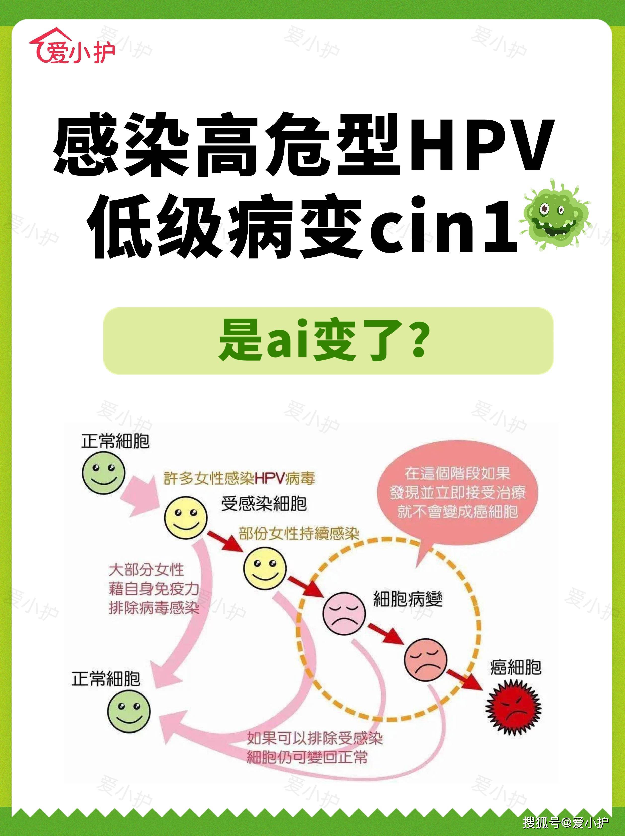 hpv是什么病 正常图片