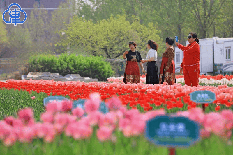 踏青赏花音乐嗨场灯光秀通武廊乡村文化旅游节走起