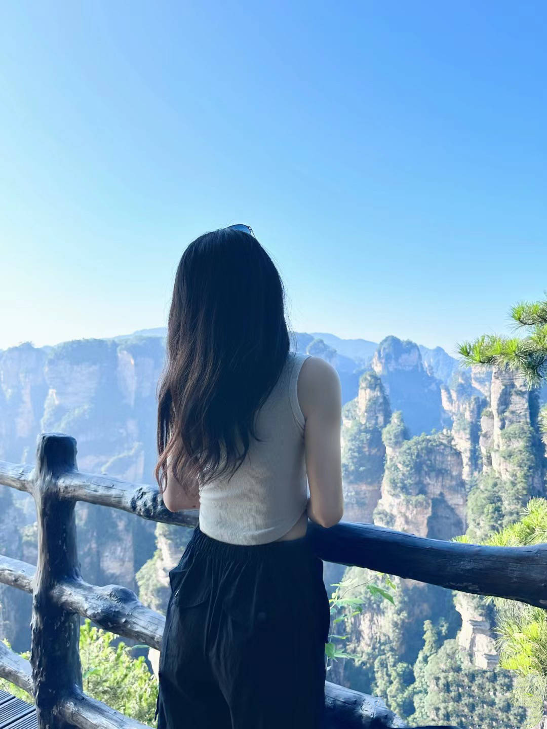 五一假期去张家界旅游5日游需要的预算是多少张家界旅游