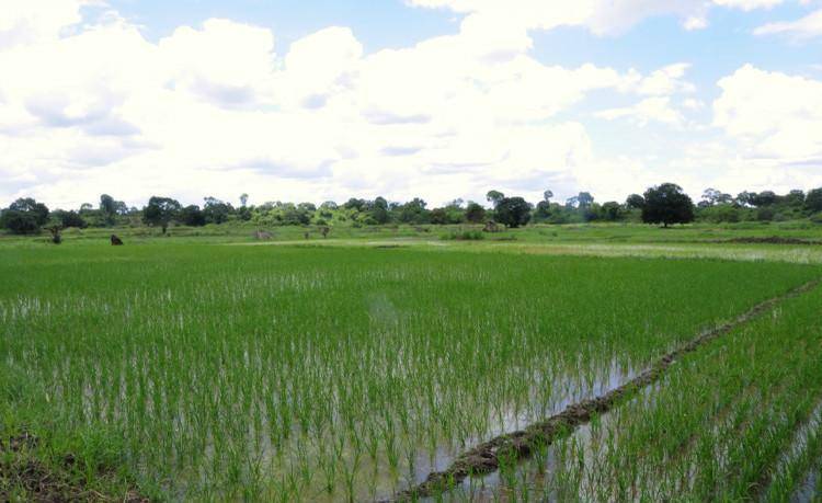 非洲小国贝宁曾与中国断交受华援助后总统号召全国向中国学习