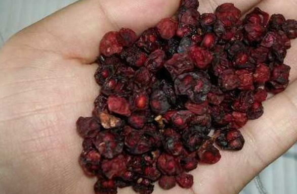 五味子_保护_功效