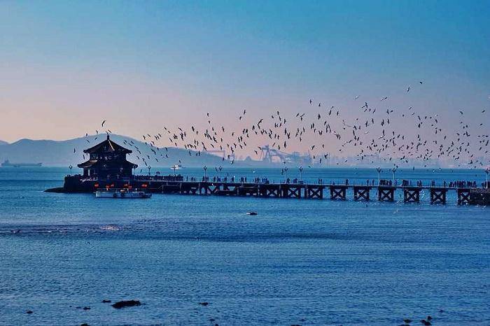 松原市去青岛需要准备多少钱?人均只要1200!经历分享!_旅行_花花_导游