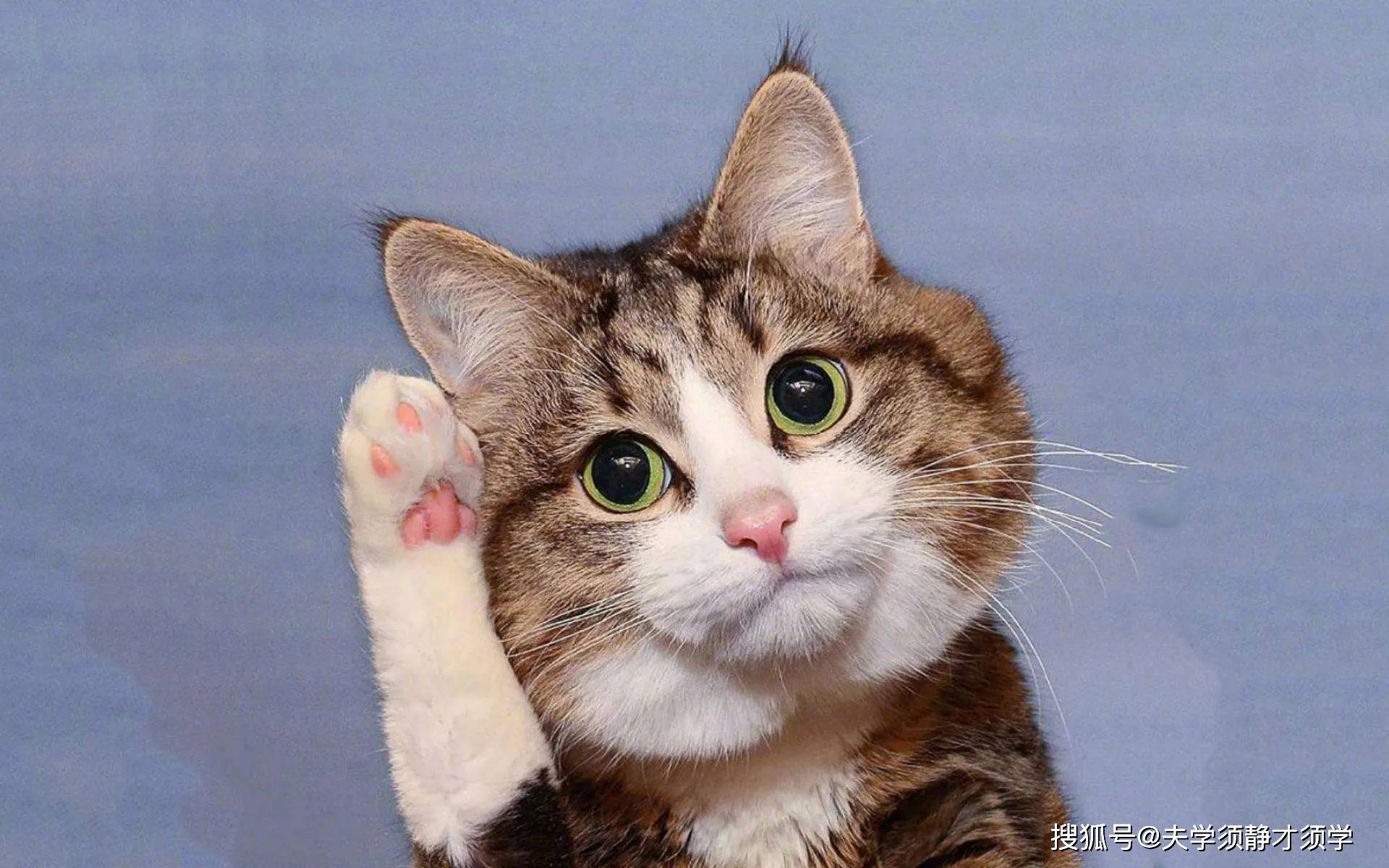 原创开心一刻女友喊道你一个大老爷们出门怎么不带手机