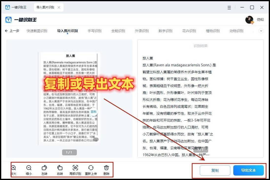 微信怎么识别图片文字?分享识别小技巧