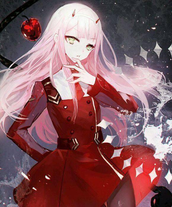 国家队的情迷弗兰西西