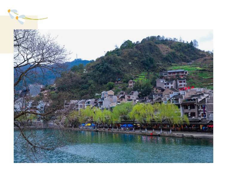 食罢贵州酸汤鱼夜游镇江古城参观歪门邪道和拐弯抹角