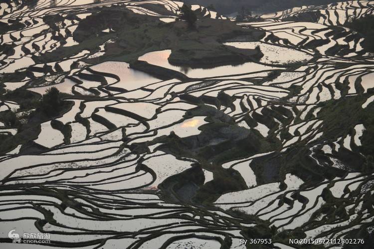 元阳哈尼梯田共有三大景区;坝达景区,老虎嘴景区,多依树景区.