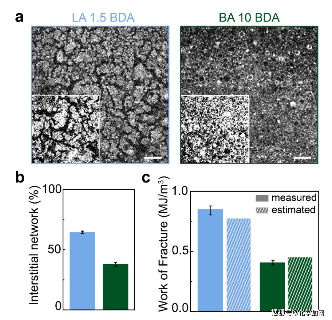 am3d打印具有局部变化机械性能的双网络颗粒弹性体