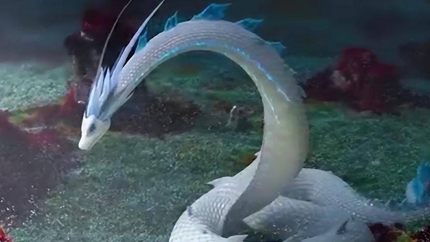 千年蛇妖化蛟飞升荒野为何不见蛇尸揭秘走蛟的传说