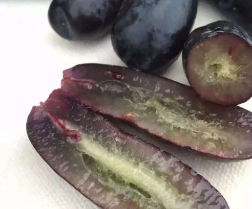 原创这种长葡萄卖得比车厘子贵想吃还要靠运气顾客吃不起