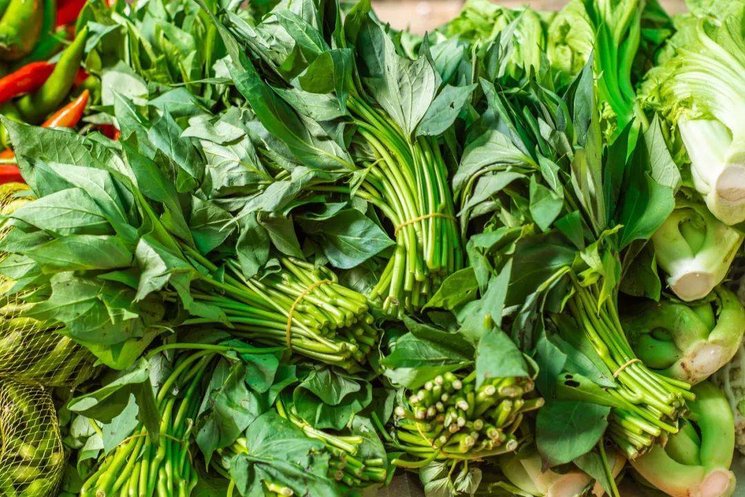 广东人叫它宁夏菜心宁夏人叫它广东菜心