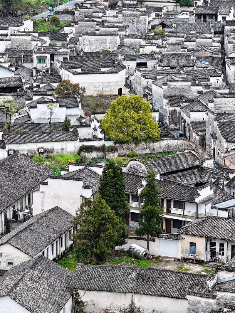 山野清欢,自在漫游,这一站去黟县_柯村_石林_徽州
