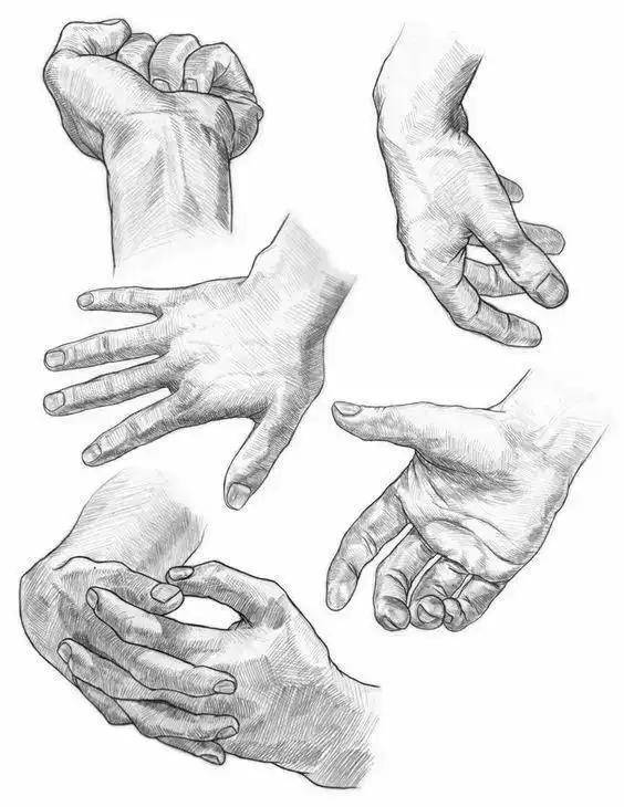 简笔画 手绘 线稿 564_730 竖版 竖屏