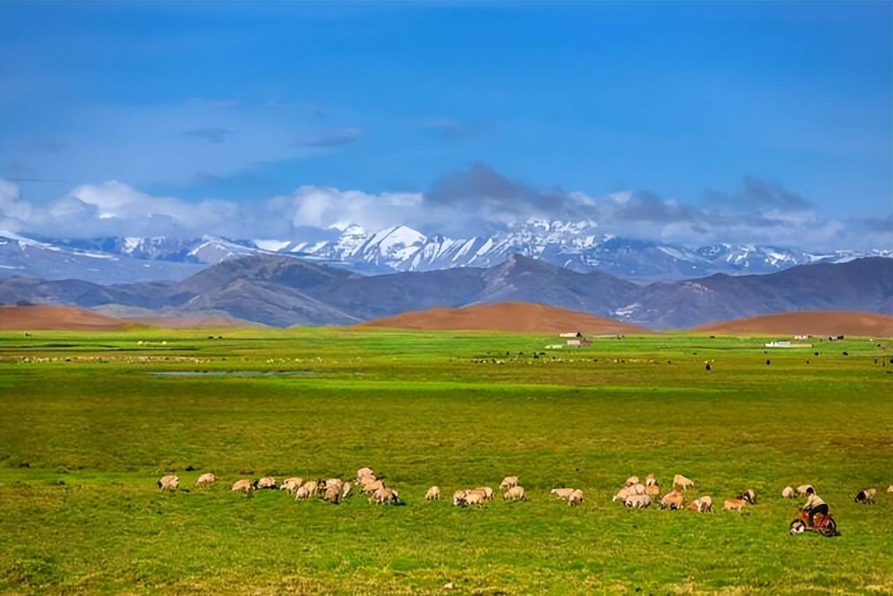 伊犁三日游旅游攻略去新疆伊犁旅游的最佳路线
