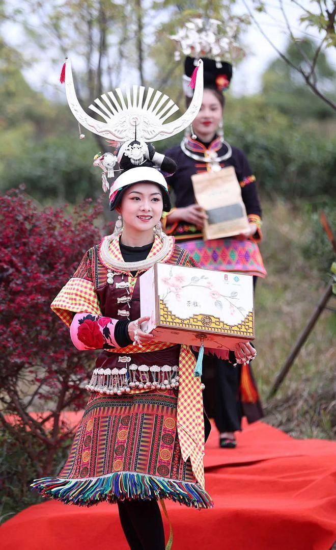 览胜赏杜鹃花，畅享云硒茶！4月20天觉5月5日，Poligny26项公益活动等您来(图10)