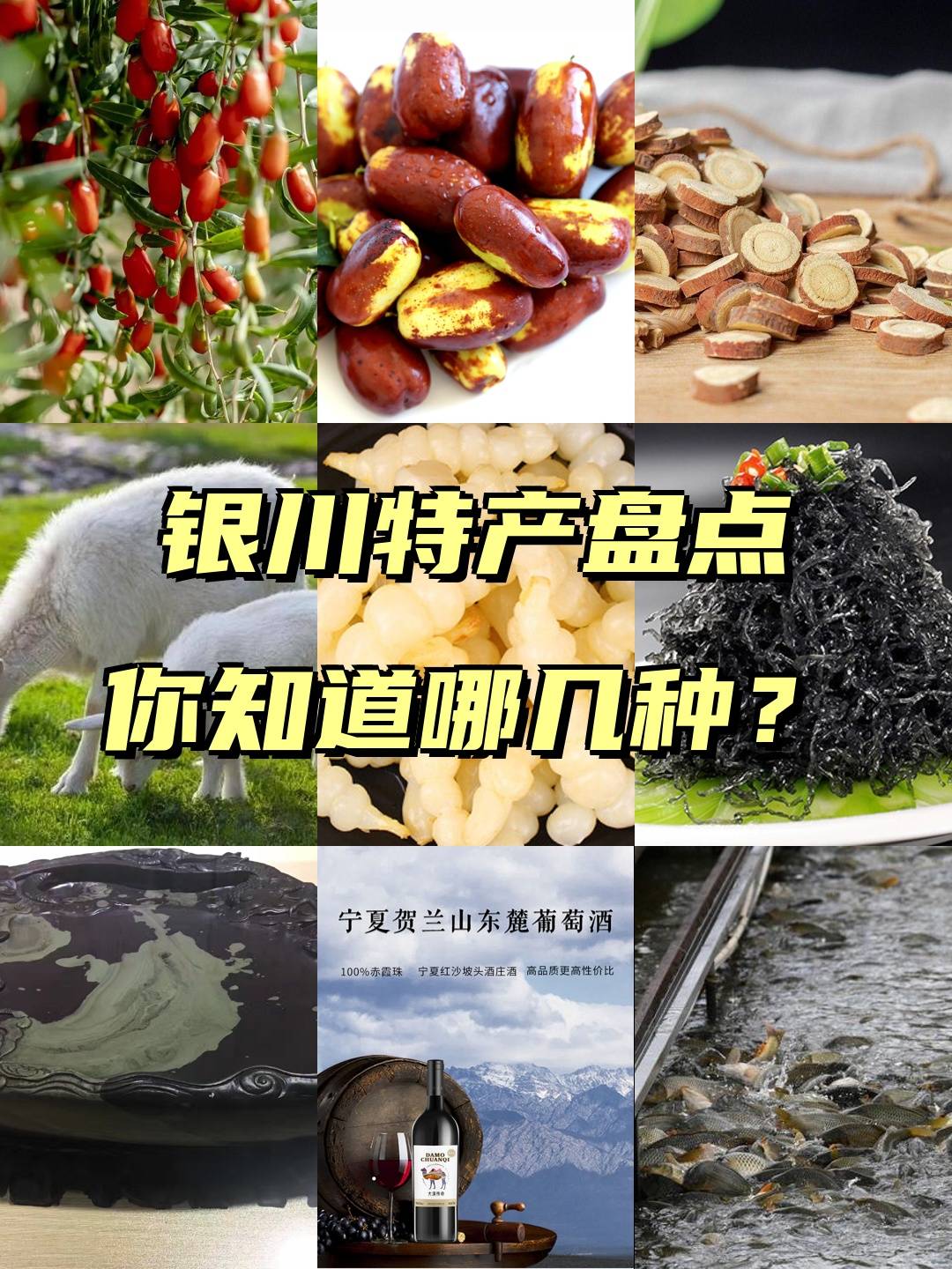 宁夏银川10款人气特产大测评看完的都馋哭了