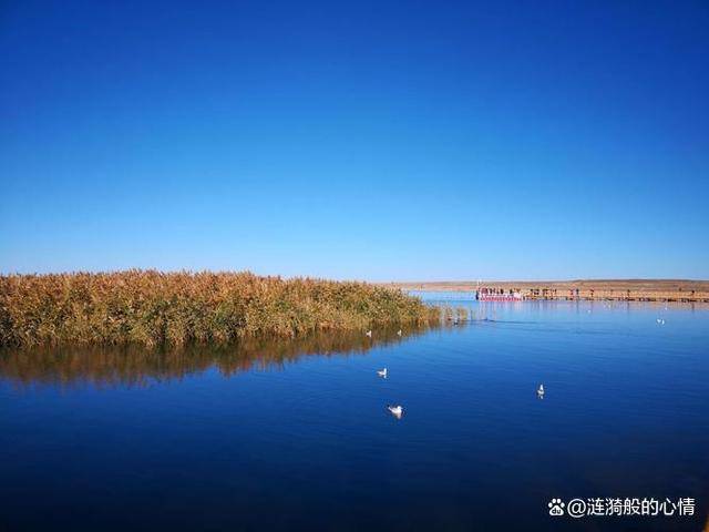 额济纳旗6天5晚跟团旅游攻略——额济纳旗胡杨林出发地去额济纳旗旅游