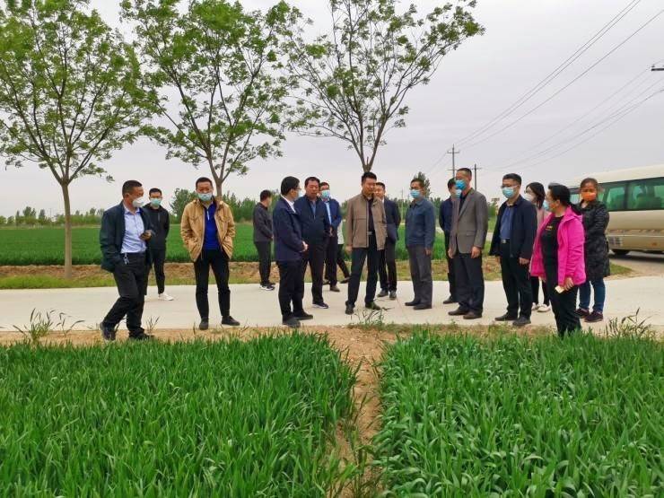 深入推进吨半粮生产建设德州学院百余专家博士田间助增收