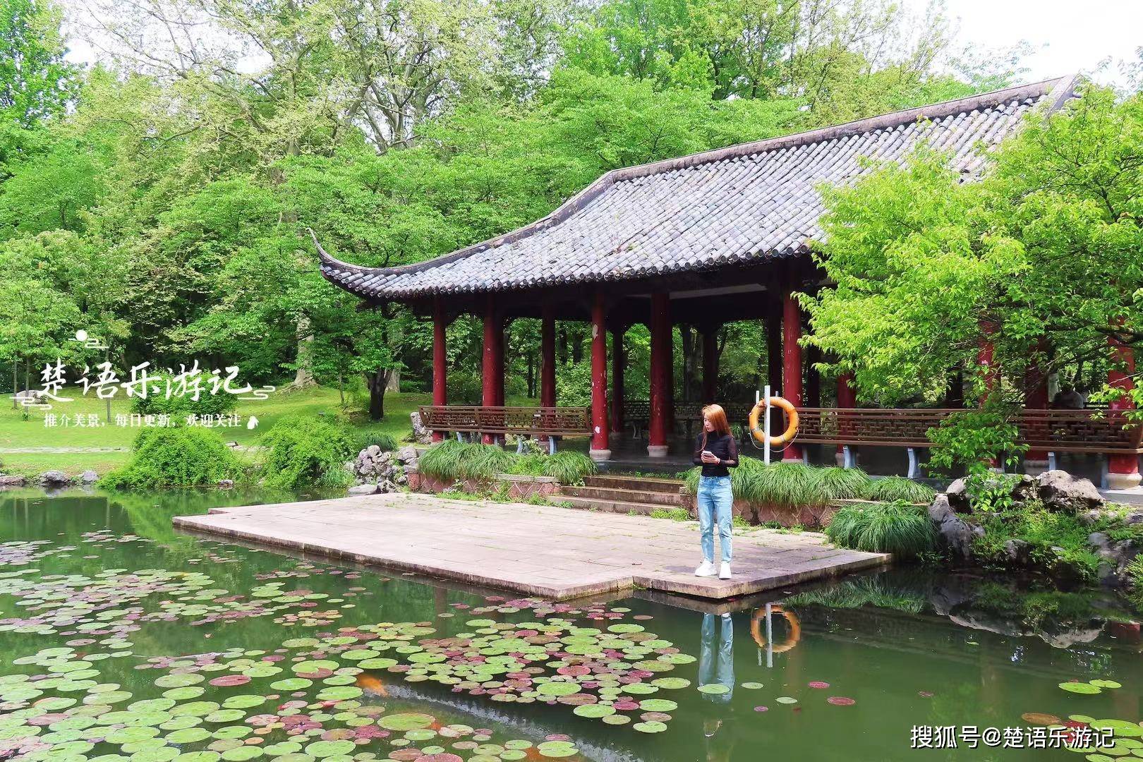 原创杭州植物园不仅有杜鹃花还有森林市集赏花拍照休闲遛娃皆很棒